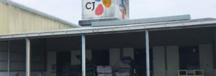 CJ Cambodia Factory